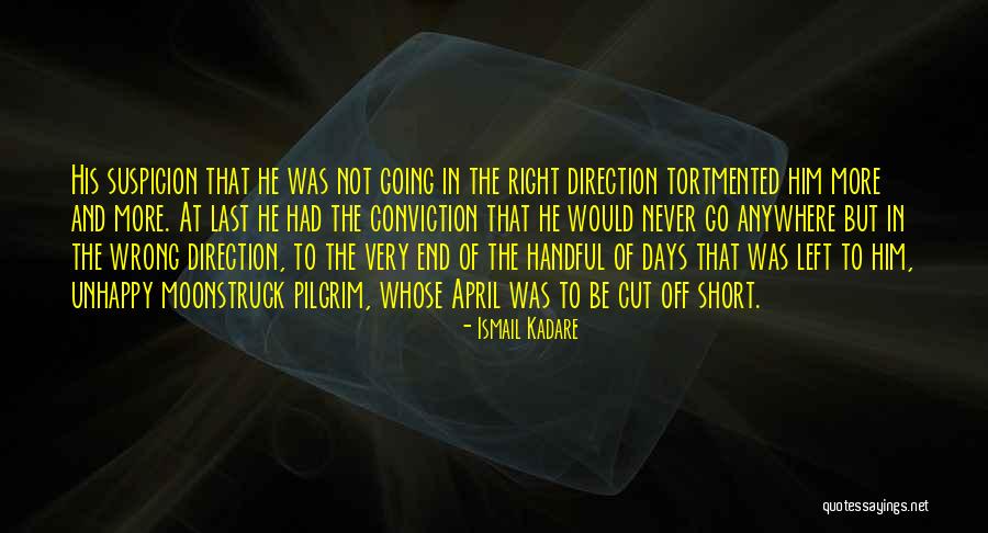 Wrong Direction Quotes By Ismail Kadare