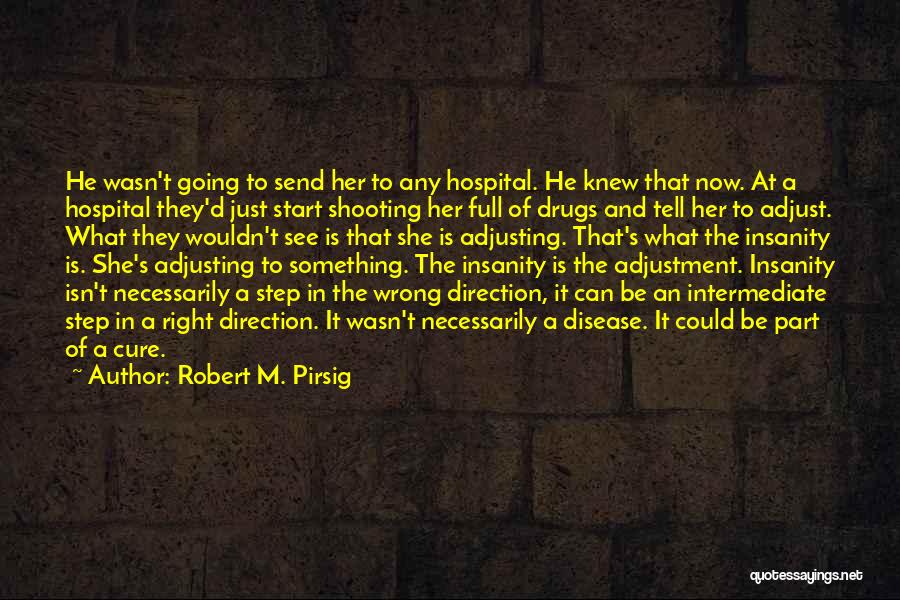 Wrong Direction Quotes By Robert M. Pirsig