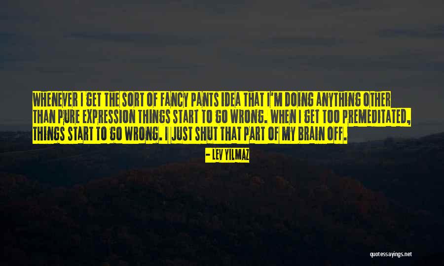 Wrong Idea Quotes By Lev Yilmaz Wrong Idea Quotes By Lev Yilmaz