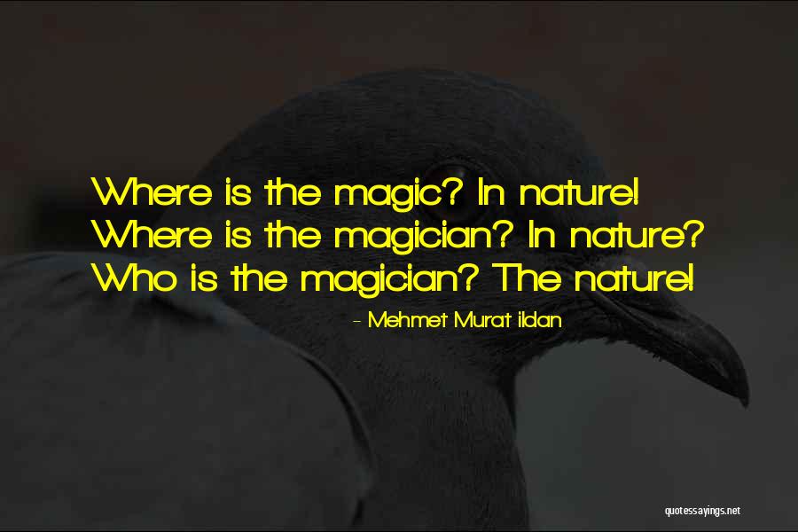 Wrong Love Choice Quotes By Mehmet Murat Ildan Wrong Love Choice Quotes By Mehmet Murat Ildan