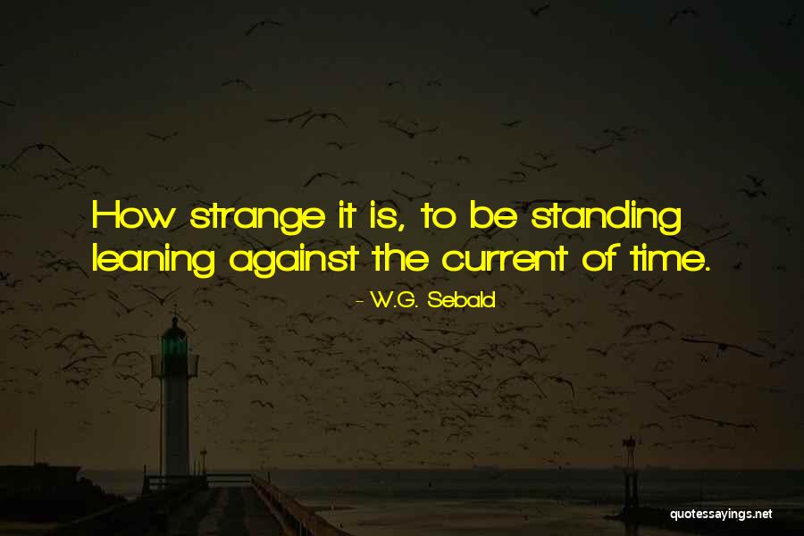 Wrong Paths Quotes By W.G. Sebald