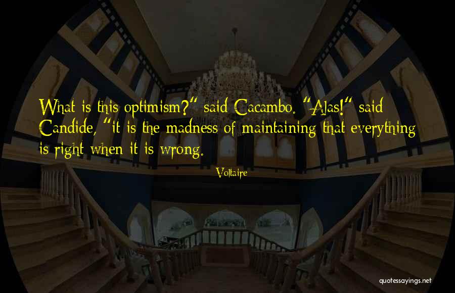 Wrong Right Quotes By Voltaire