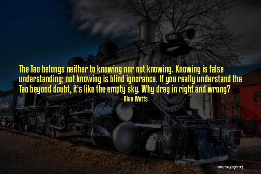 Wrong Understanding Quotes By Alan Watts