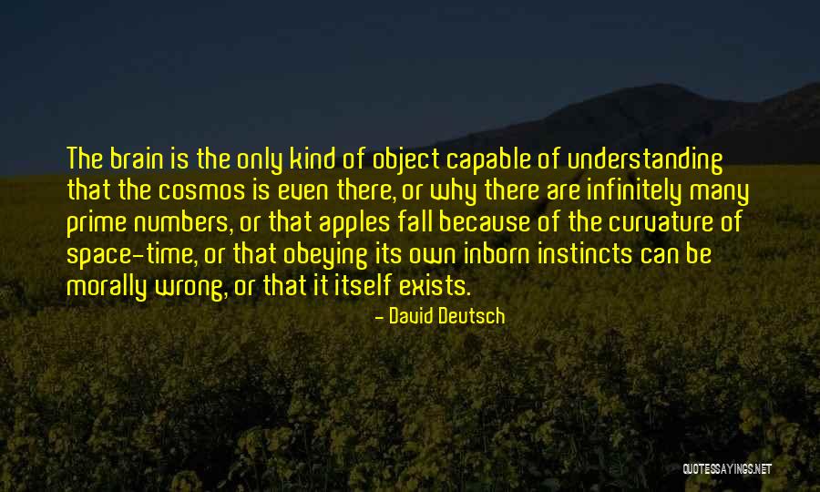 Wrong Understanding Quotes By David Deutsch