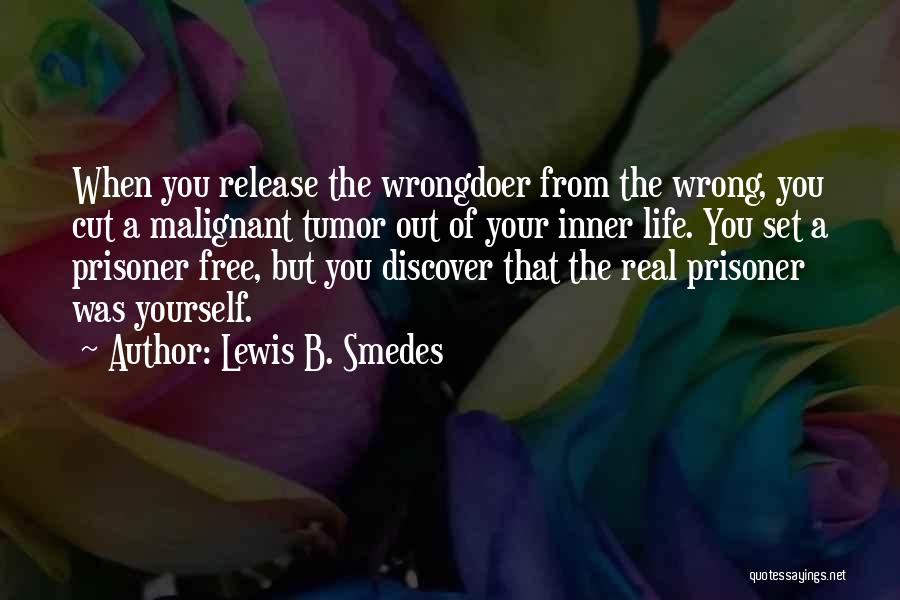 Wrongdoer Quotes By Lewis B. Smedes
