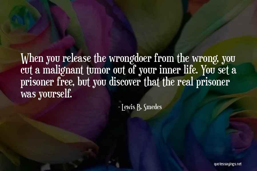 Wrongdoer Quotes By Lewis B. Smedes