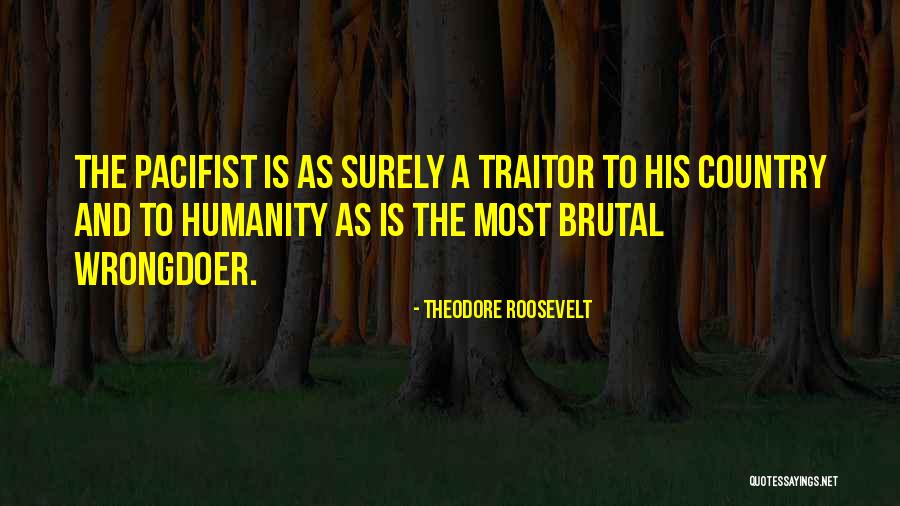 Wrongdoer Quotes By Theodore Roosevelt