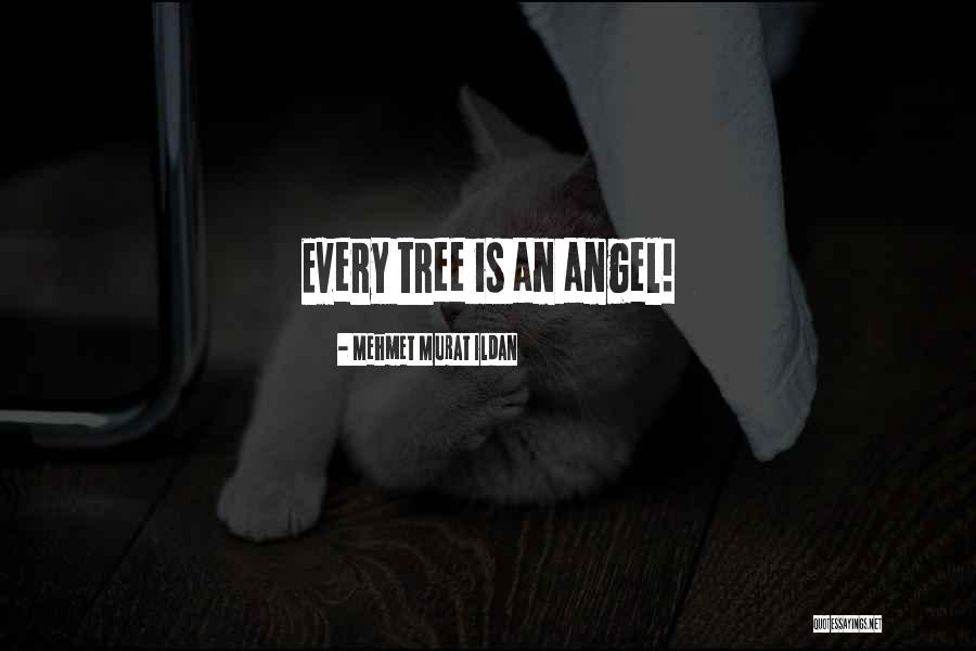 Wrongdoer Synonyms Quotes By Mehmet Murat Ildan Wrongdoer Synonyms Quotes By Mehmet Murat Ildan