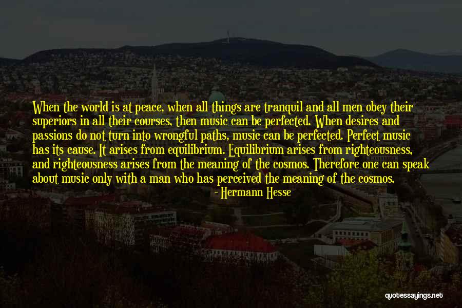 Wrongful Quotes By Hermann Hesse Wrongful Quotes By Hermann Hesse