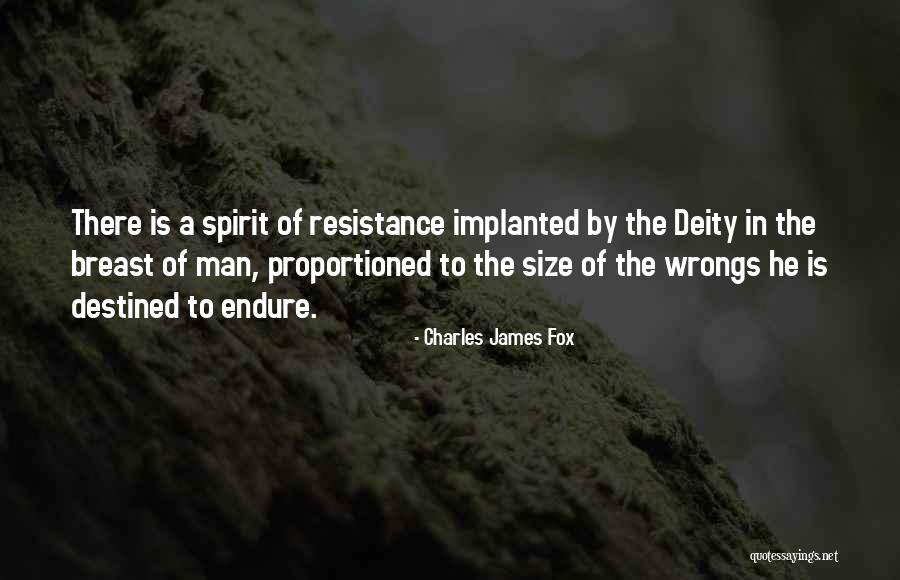 Wrongs Quotes By Charles James Fox Wrongs Quotes By Charles James Fox