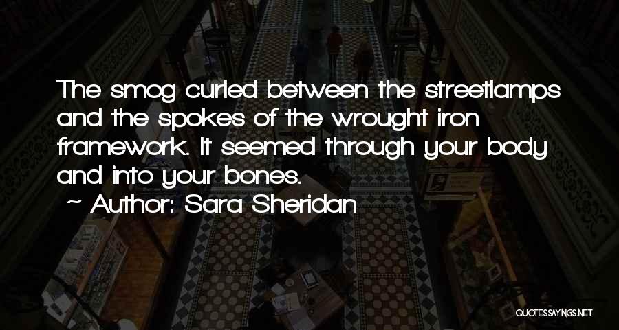 Wrought Iron Quotes By Sara Sheridan