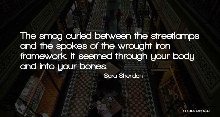 Wrought Iron Quotes By Sara Sheridan