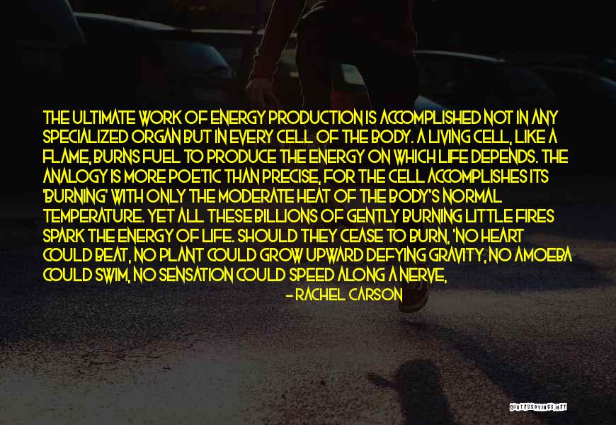 Wszechmogcy Quotes By Rachel Carson Wszechmogcy Quotes By Rachel Carson