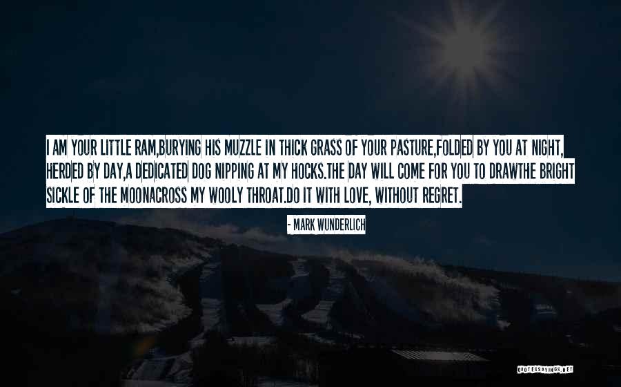 Wtbts Quotes By Mark Wunderlich Wtbts Quotes By Mark Wunderlich
