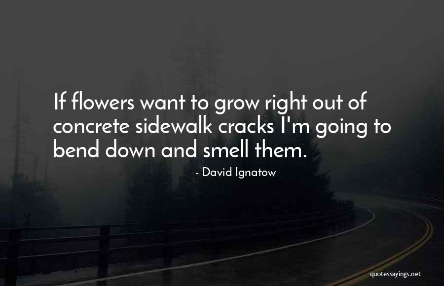 Wulfingen Quotes By David Ignatow Wulfingen Quotes By David Ignatow