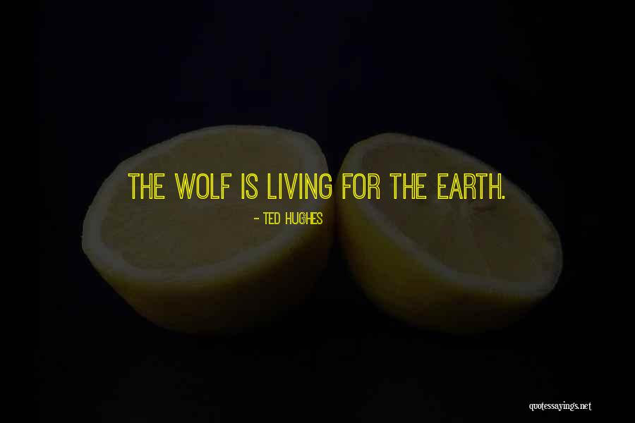 Wunch Inslits Quotes By Ted Hughes Wunch Inslits Quotes By Ted Hughes