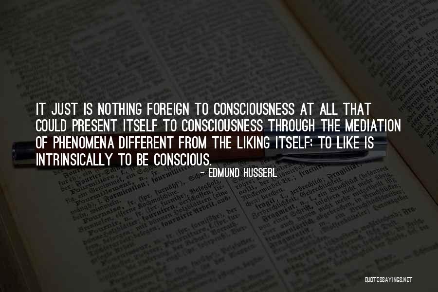 Wunderbare Genderfluid Quotes By Edmund Husserl Wunderbare Genderfluid Quotes By Edmund Husserl