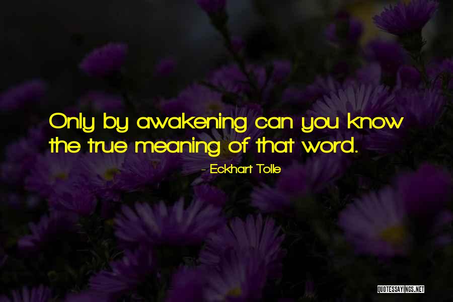 Wurster Coater Quotes By Eckhart Tolle Wurster Coater Quotes By Eckhart Tolle