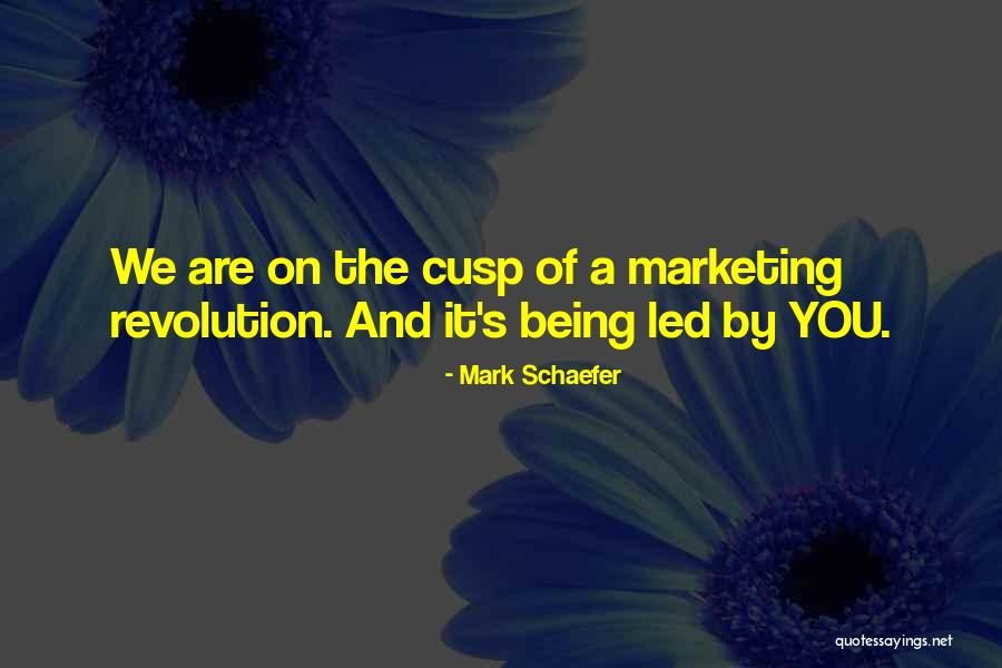 Wussler Cbsd Quotes By Mark Schaefer Wussler Cbsd Quotes By Mark Schaefer