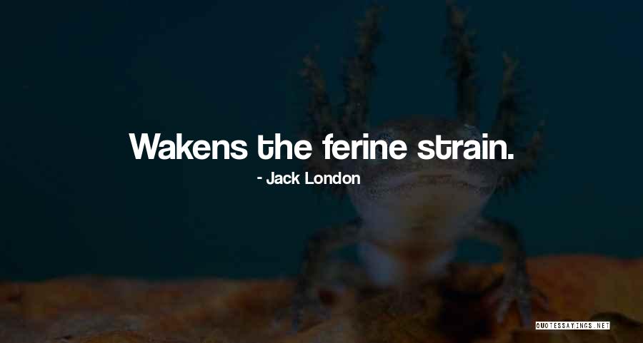 Wuth Quotes By Jack London Wuth Quotes By Jack London