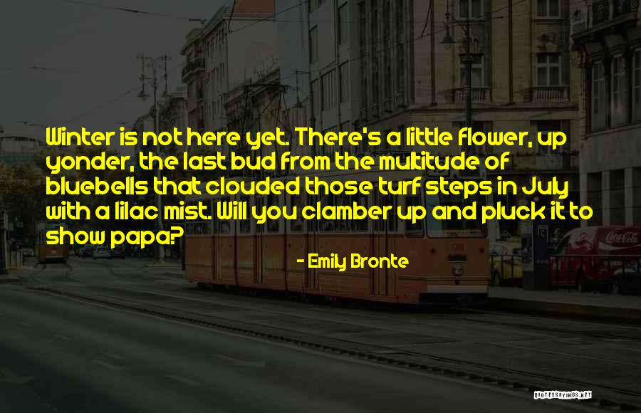 Wuthering Heights Emily Bronte Quotes By Emily Bronte Wuthering Heights Emily Bronte Quotes By Emily Bronte