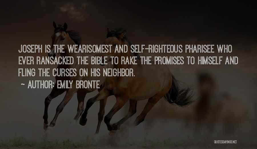 Wuthering Heights Joseph Quotes By Emily Bronte