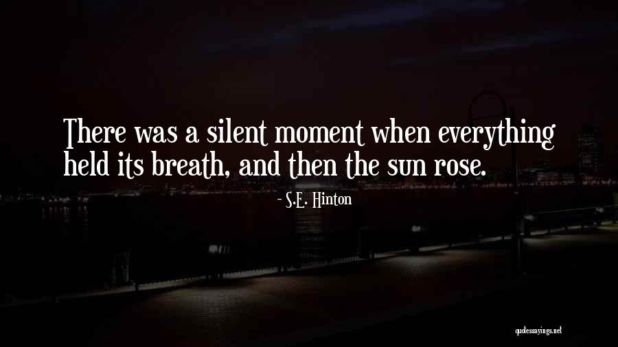 Wuwt Tv Quotes By S.E. Hinton Wuwt Tv Quotes By S.E. Hinton