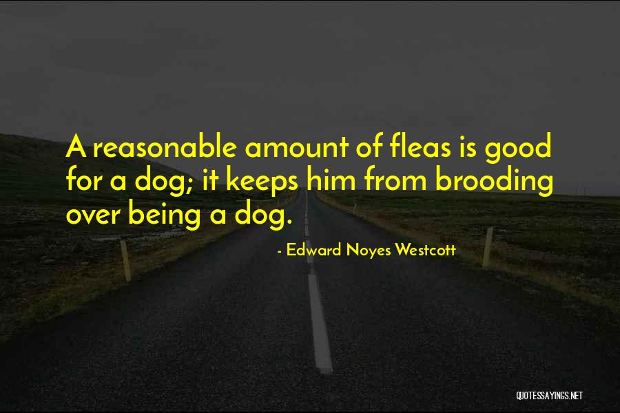 Wuzzies Quotes By Edward Noyes Westcott Wuzzies Quotes By Edward Noyes Westcott