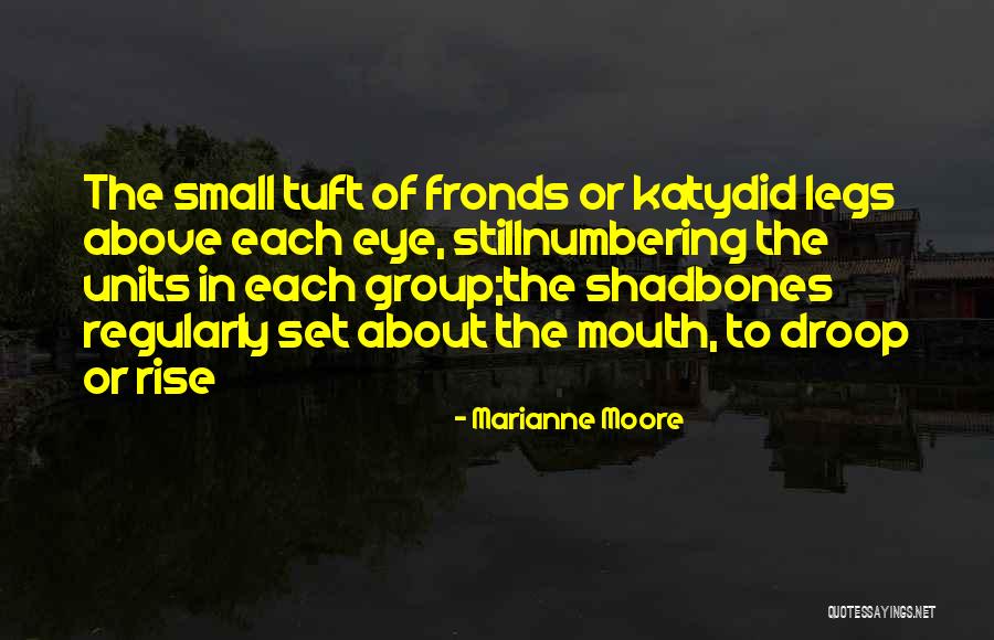 Wwe Dx Funny Quotes By Marianne Moore Wwe Dx Funny Quotes By Marianne Moore