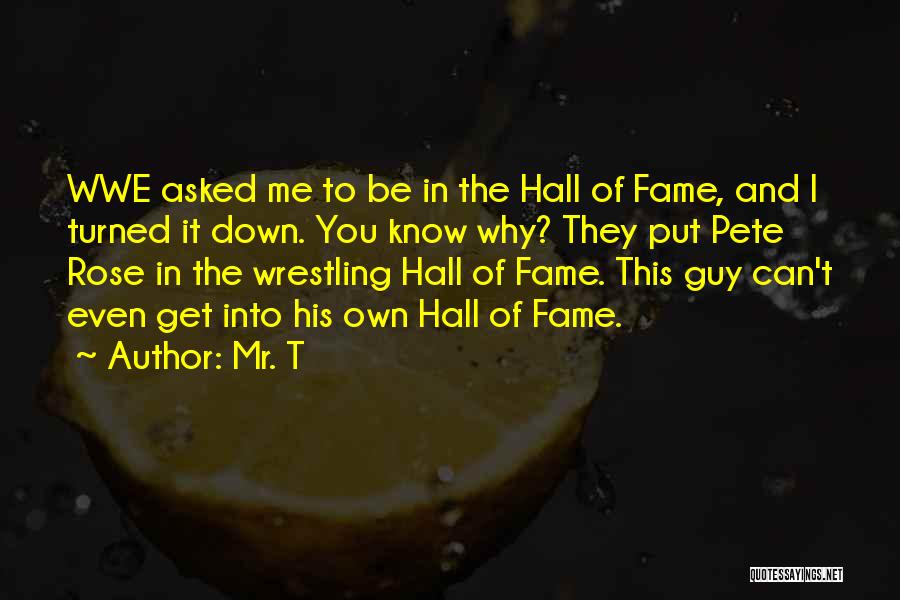 Wwe Hall Of Fame Quotes By Mr. T