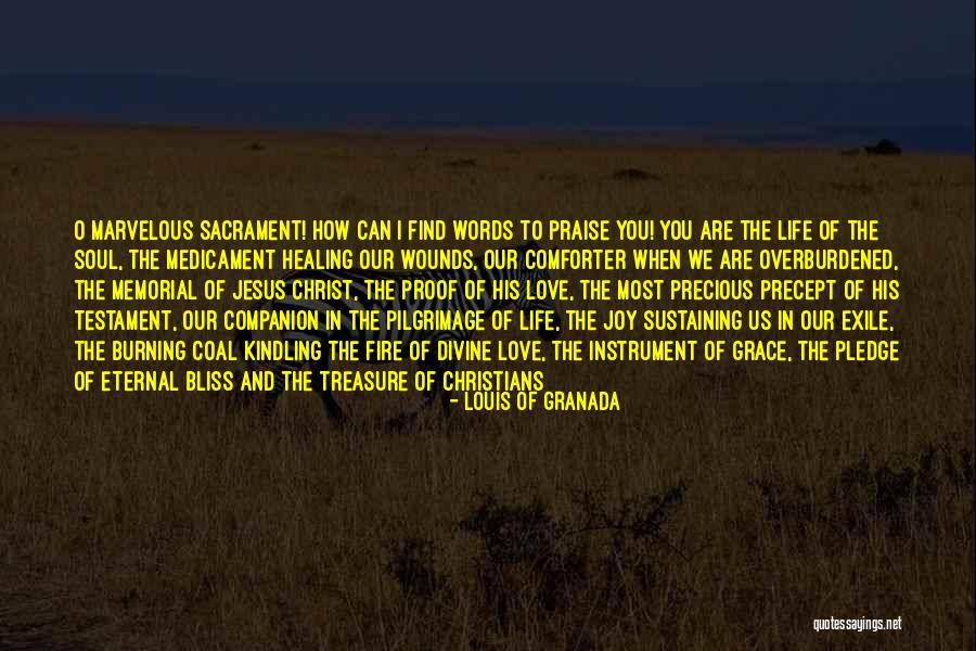 Wwe The Undertaker Quotes By Louis Of Granada Wwe The Undertaker Quotes By Louis Of Granada