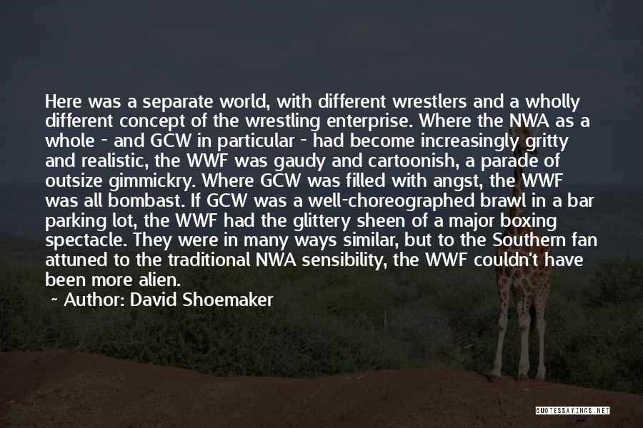 Wwf Quotes By David Shoemaker