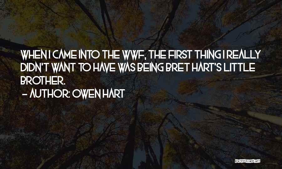 Wwf Quotes By Owen Hart