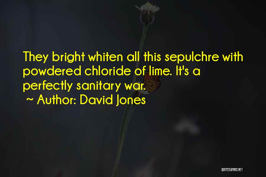 Wwi Quotes By David Jones