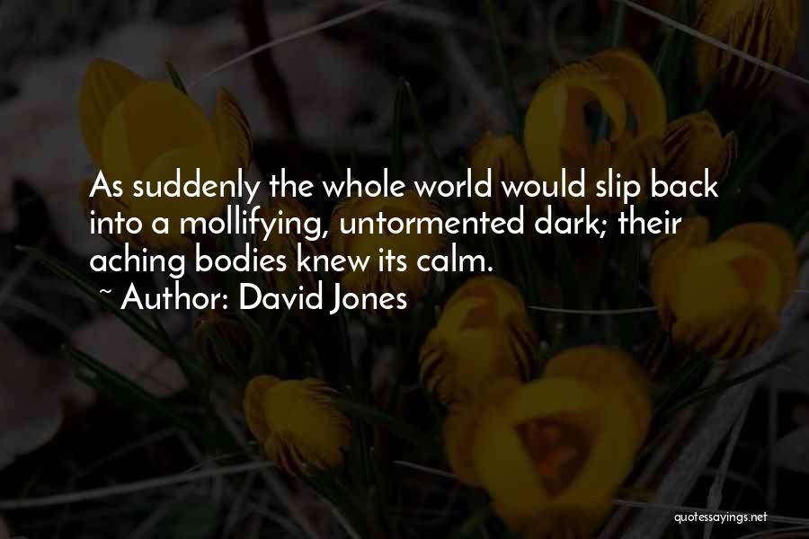 Wwi Quotes By David Jones