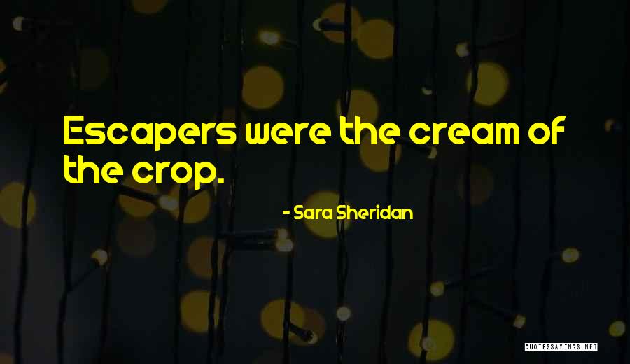 Wwii Soldiers Quotes By Sara Sheridan Wwii Soldiers Quotes By Sara Sheridan
