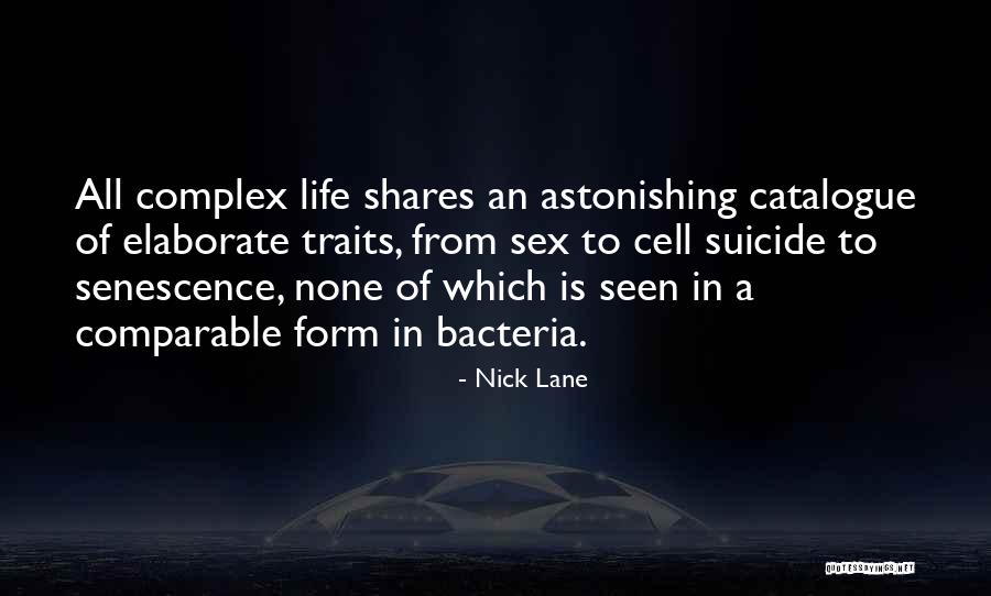 Www Hazeledwards Com Quotes By Nick Lane Www Hazeledwards Com Quotes By Nick Lane
