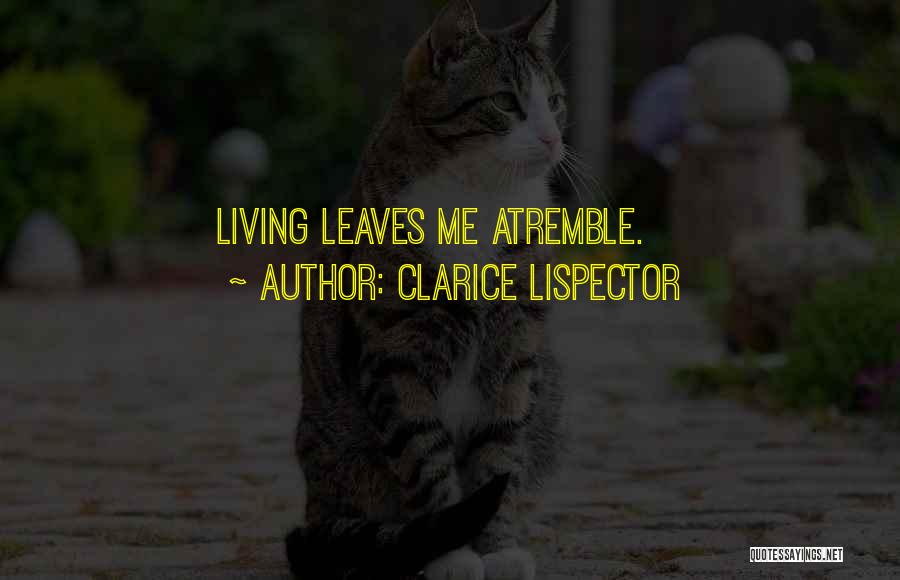 Wxvo Quotes By Clarice Lispector