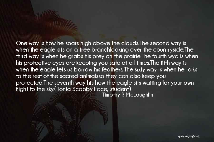 Wya Quotes By Timothy P. McLaughlin Wya Quotes By Timothy P. McLaughlin