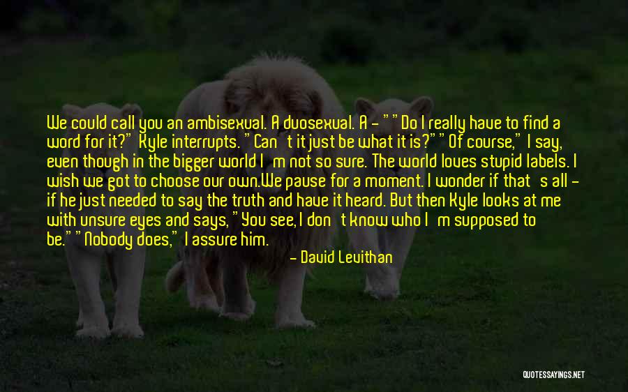 Wyborne Quotes By David Levithan Wyborne Quotes By David Levithan