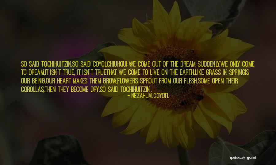 Wydler Cider Quotes By Nezahualcoyotl Wydler Cider Quotes By Nezahualcoyotl