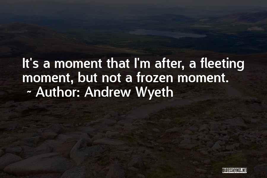 Wyeth Quotes By Andrew Wyeth