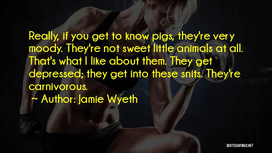 Wyeth Quotes By Jamie Wyeth