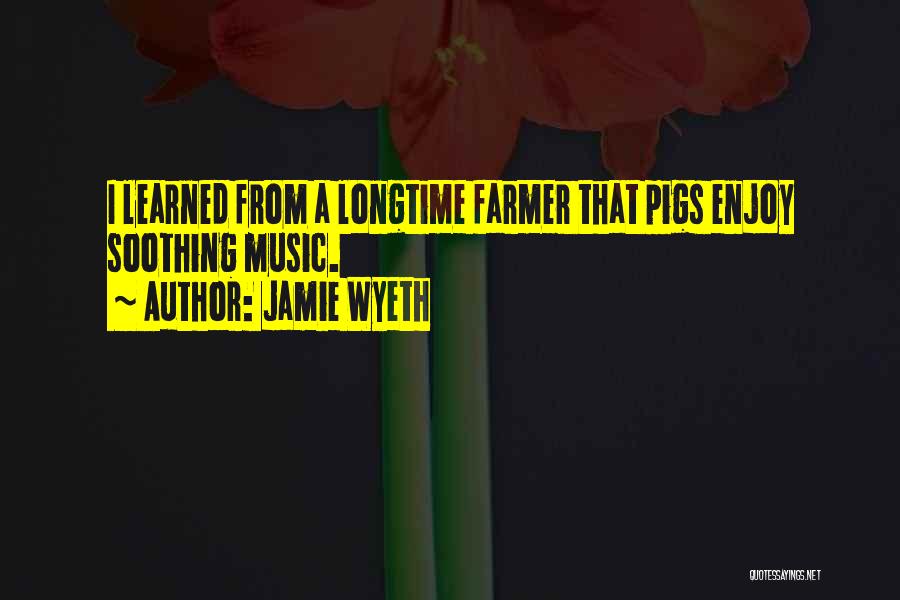 Wyeth Quotes By Jamie Wyeth