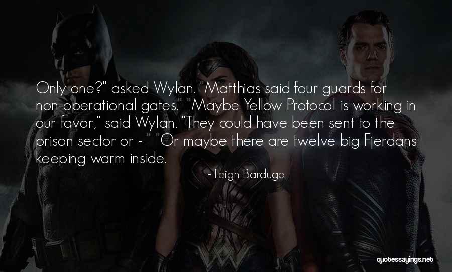Wylan Quotes By Leigh Bardugo Wylan Quotes By Leigh Bardugo
