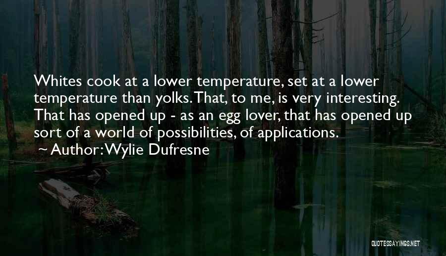 Wylie Dufresne Quotes 685236