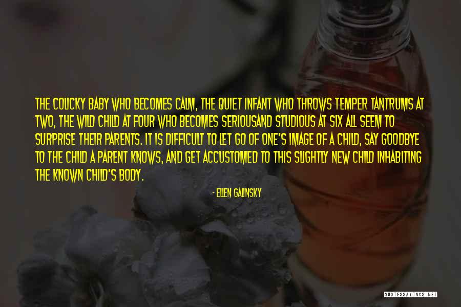 Wynagrodzenie Po Quotes By Ellen Galinsky Wynagrodzenie Po Quotes By Ellen Galinsky