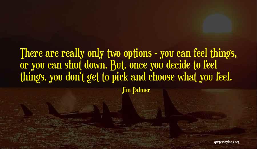 Wynbrandt Farms Quotes By Jim Palmer Wynbrandt Farms Quotes By Jim Palmer