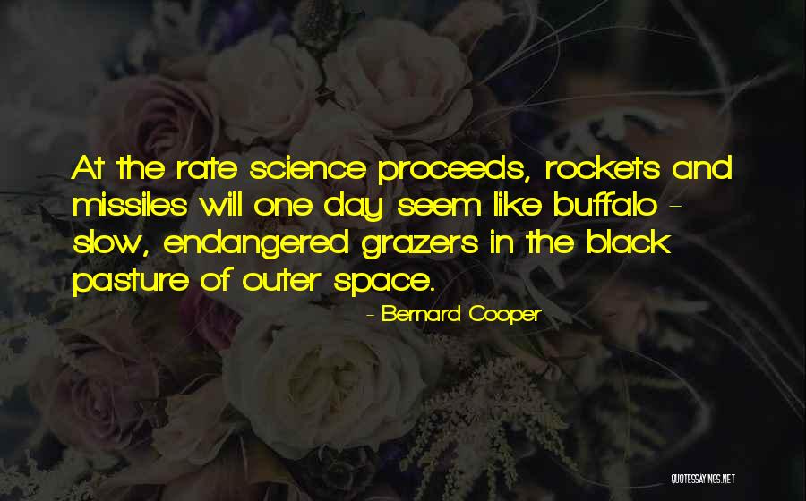 Wyndell Campbell Quotes By Bernard Cooper Wyndell Campbell Quotes By Bernard Cooper