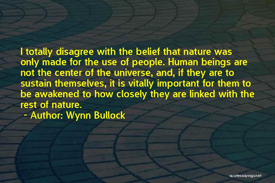Wynn Bullock Quotes 1871666